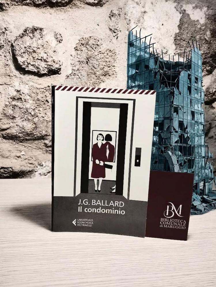 📚✨ IL LIBRO DEL VENERDÌ – Quarto appuntamento ✨📚 🔑E se la tua casa diventasse un luogo da cui fuggire?🔑 Questa setti...