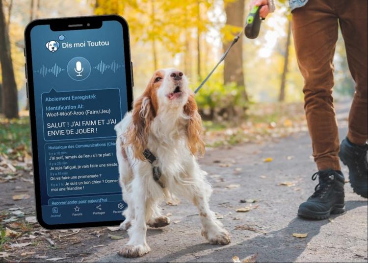 "Dis-moi toutou" : l'application d'un grenoblois pour traduire les aboiements