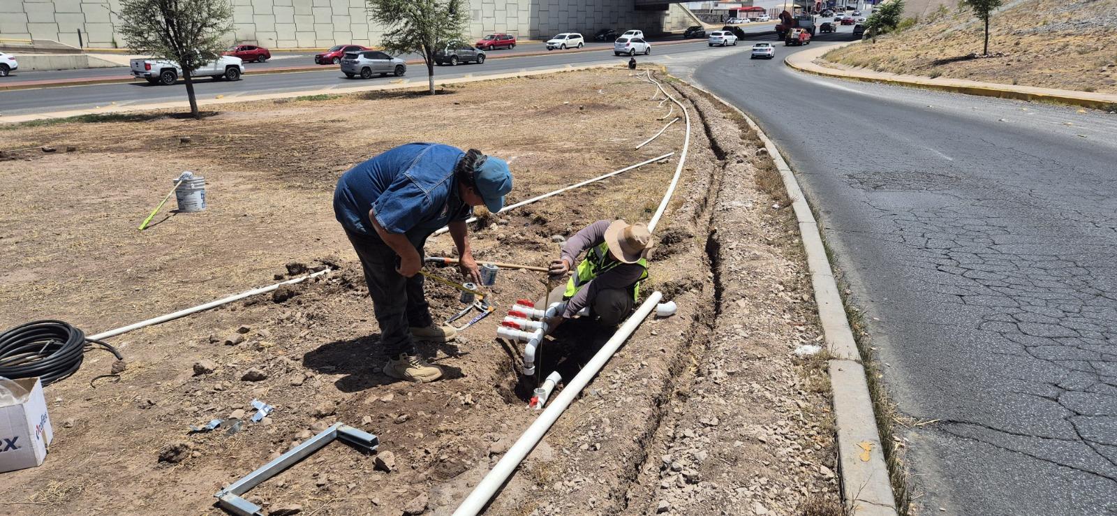 Avanza Gobierno Municipal en instalación de sistema de riego en talud Homero