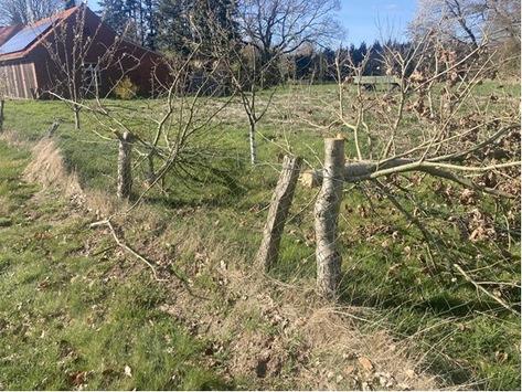 POL-EL: Sögel - Sachbeschädigung - Zeugen gesucht