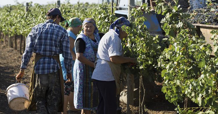 Novo decreto garante segurado especial a produtores rurais cooperados