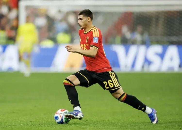 Newcastle United have made an offer to buy Matias Fernandez-Pardo from Lille