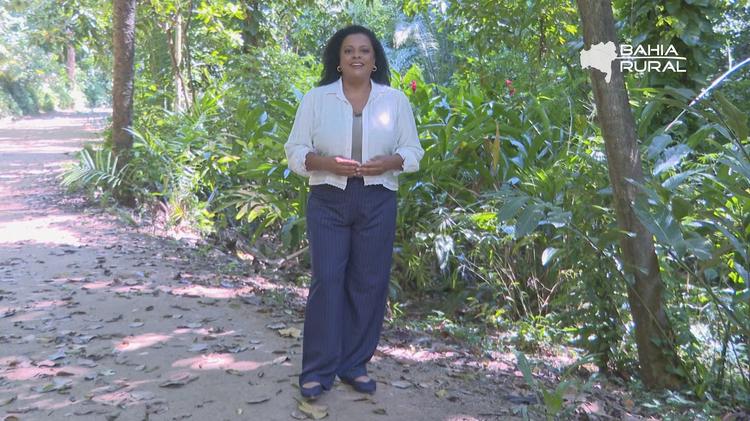 Vídeos do g1 e TV Bahia - domingo, 13 de setembro de 2026