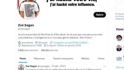 Réseaux sociaux : Zoé Sagan, un faux compte adepte de la désinformation