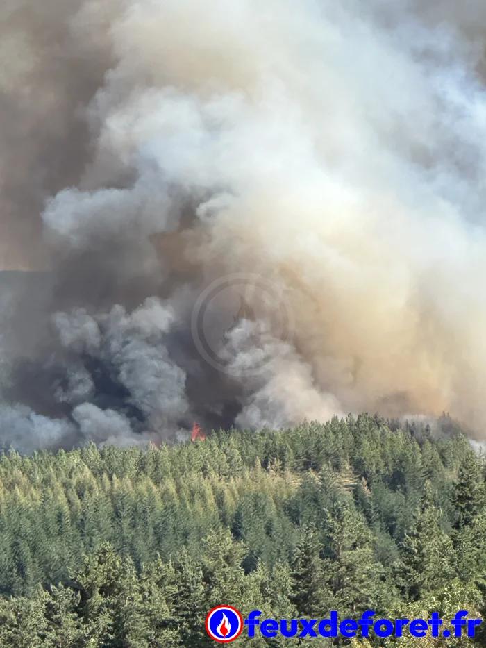 Feux de forêt / Incendie Prévenchères