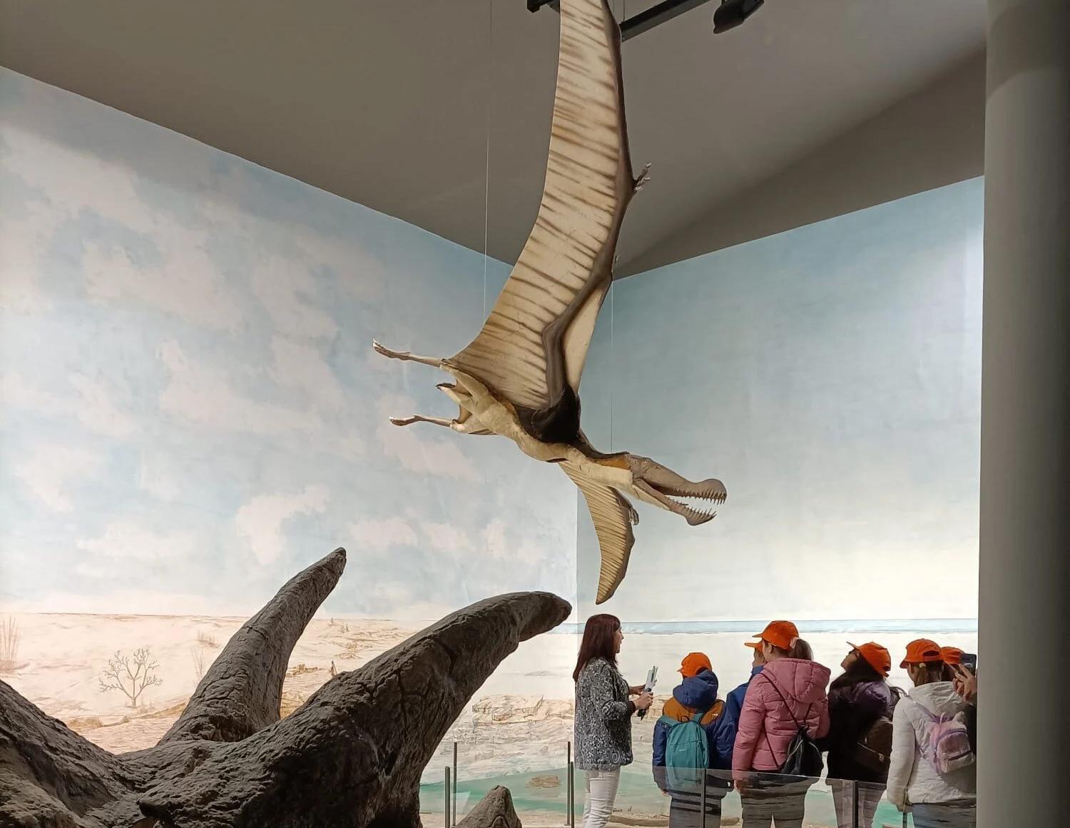 Magliano Vetere punta sull’innovazione: al via il progetto digitale per il Museo Paleontologico