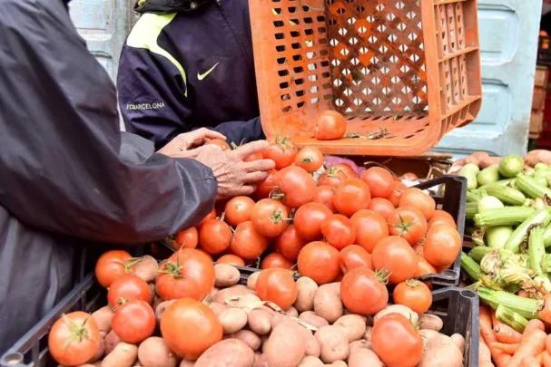 خبراء يكشفون أسباب الارتفاع الصاروخي لأسعار الطماطم بالمغرب