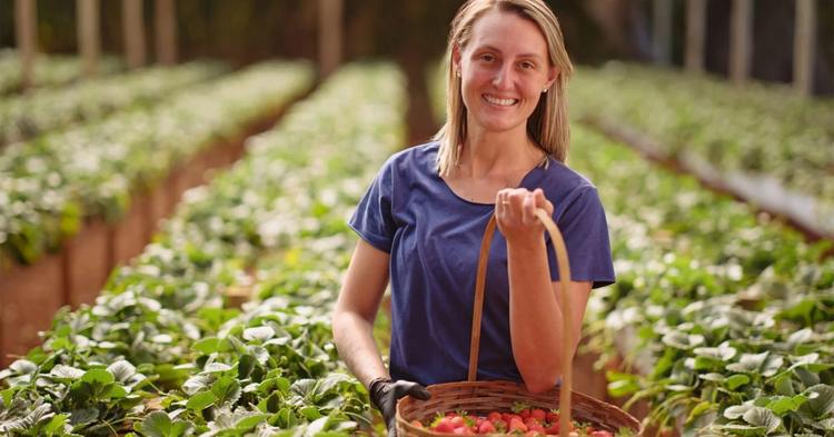 Cresol apresenta relatório de sustentabilidade com R$ 16 bi em crédito verde e amplia impacto social em 2025