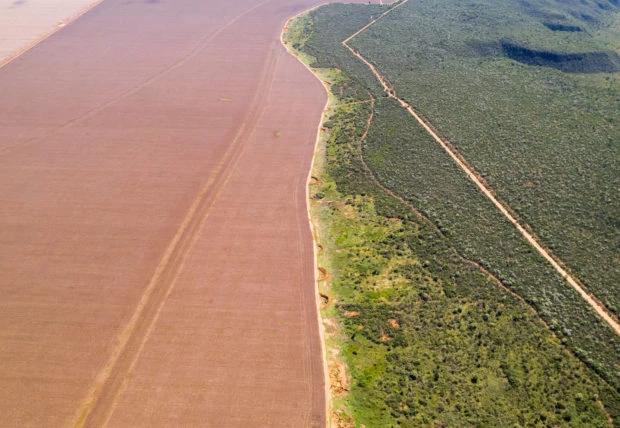 Desmatamento em 2025 fica abaixo de 1 milhão de hectares com redução em todos os biomas