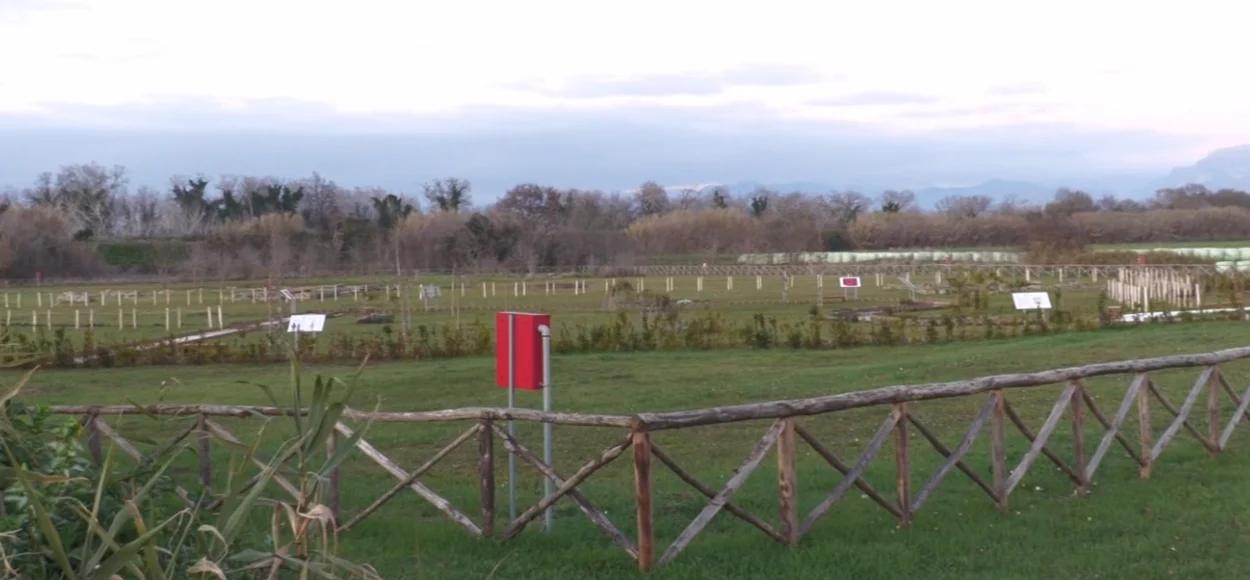 Archeologia, ripartono gli scavi al santuario di Hera Argiva alla foce del Sele