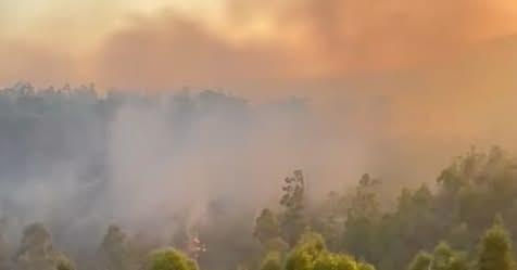 Canadair ed elicotteri in azione insieme a vigili del fuoco, forestali e protezione civile