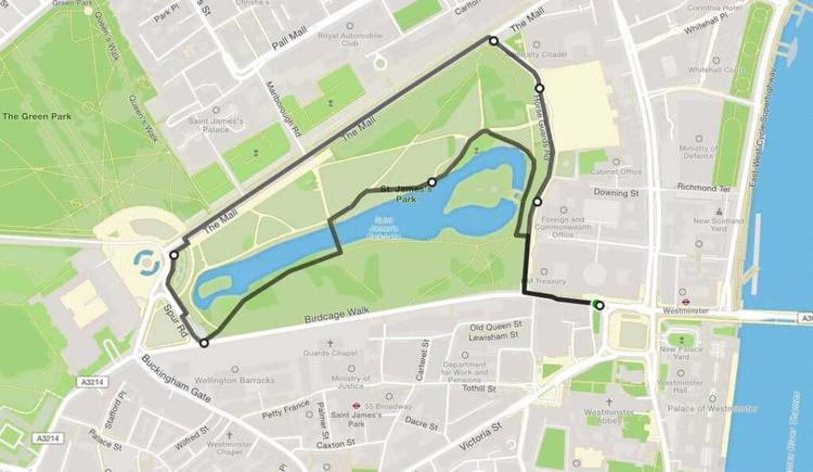 Overview of London Royal Parks Run
