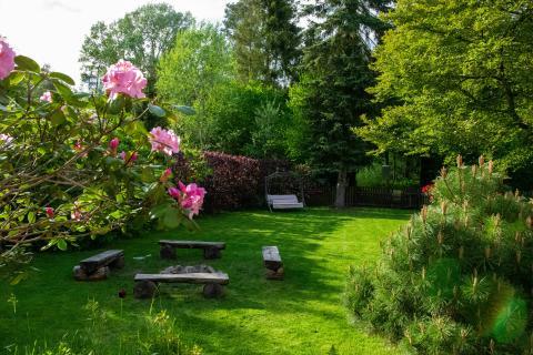Faithful in the Ordinary: Tending My Backyard