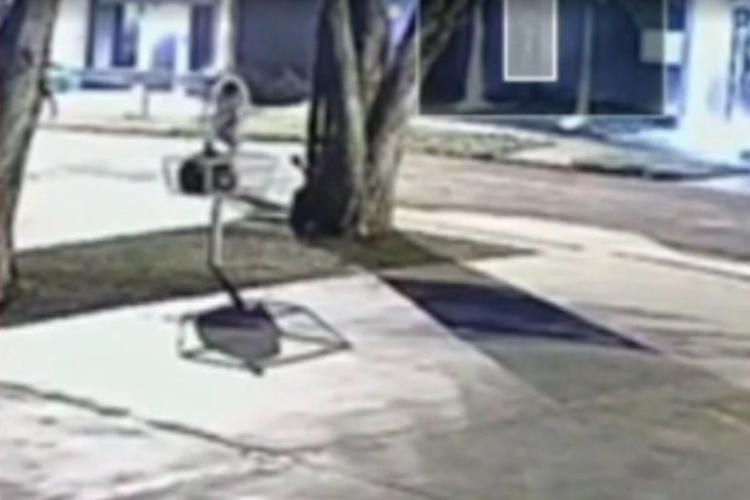 Homem que espancou gata até a morte é condenado a 2 anos de prisão e multa de R$ 20 mil; veja vídeo