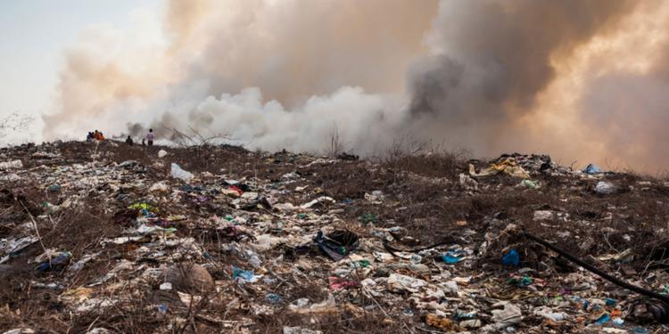 Ecomafia 2026, Calabria quarta in Italia: 2.862 reati ambientali e 17 mila ettari bruciati
