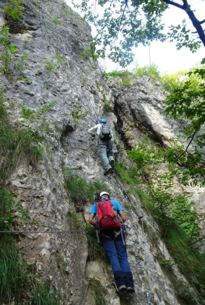 ‼️ RIAPERTURA VIA FERRATA “Val del Rì” 🆓 🪨 L’Amministrazione comunale informa in merito alla riapertura della via attr...