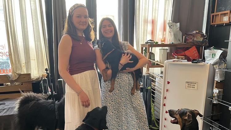 Après 10 ans d'existence, le Waf, premier café à chiens de Lille a servi ses derniers clients
