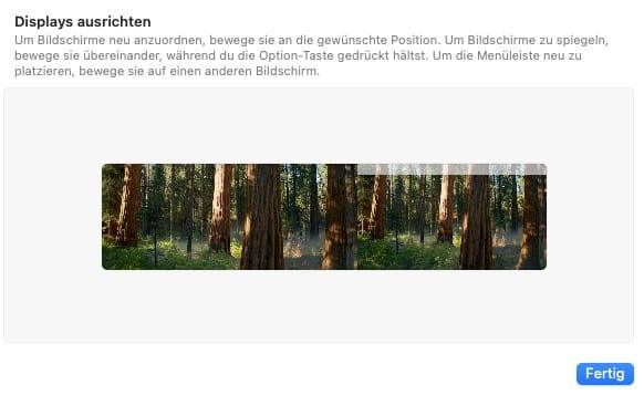 Anleitung zur Anordnung von Bildschirmen im Wald.