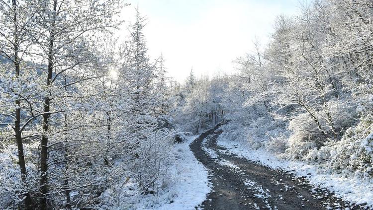 Météo : gelées, averses, vent et neige pour cette semaine à venir en Occitanie