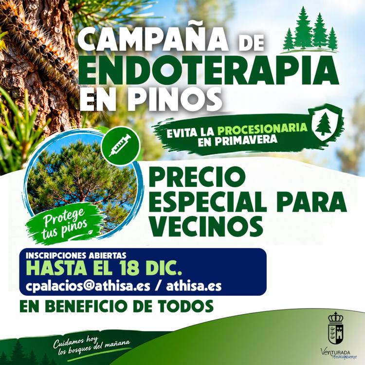 Protege tus pinos frente a la procesionaria