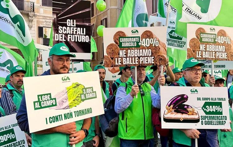 Agricoltura, «I conti non tornano»: trenta produttori calabresi in protesta a Montecitorio il 21 ottobre