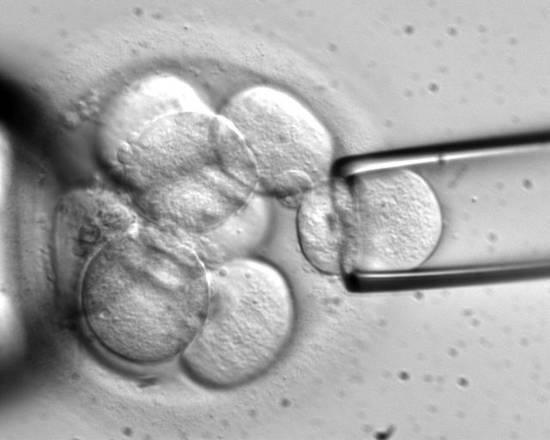Modificati geni di embrioni umani: è la prima volta