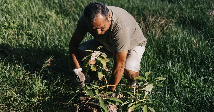 Licenciamento ambiental define ritmo dos investimentos cooperativos