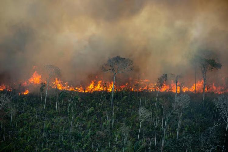 Ministério Público articula ações contra queimadas diante do risco de El Niño severo na Amazônia