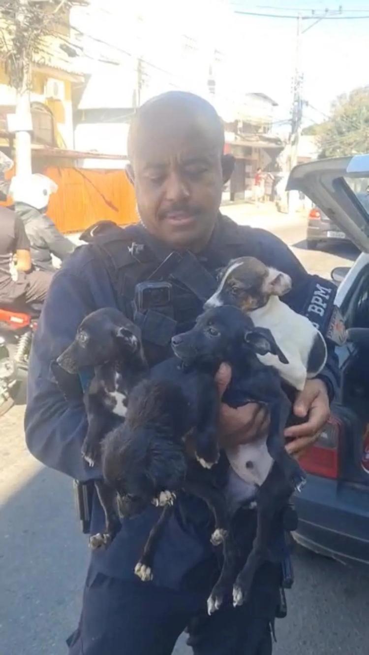 15 cães são resgatados e três pessoas são presas por maus-tratos em Três Rios
