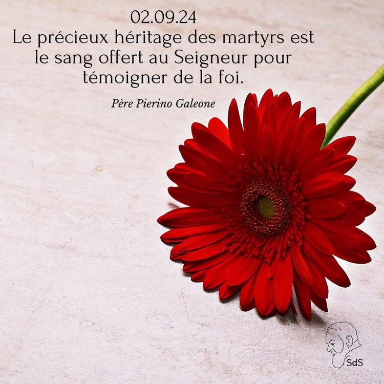 02.09.24
Le précieux héritage des martyrs est le sang offert au Seigneur pour témoigner de la foi.

Père Pierino Galeone
