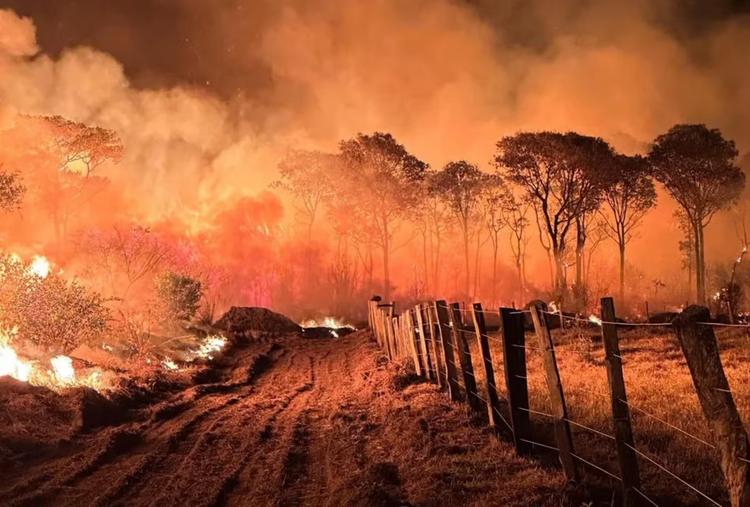 Mato Grosso do Sul decreta emergência ambiental por risco de incêndios florestais