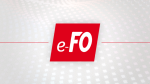 MARS&nbsp;FO&nbsp;: un outil de suivi des élections et de développement syndical indispensable&nbsp;!