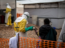 Ebola. Ciccozzi (Campus Bio-Medico): “I piani europei ci sono, ma servono test molecolari rapidi per contenere”