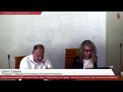 III Commissione Consiliare Permanente