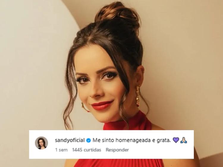 Pesquisador da Unicamp cria personagem idosa para analisar músicas de Sandy e chama atenção da cantora
