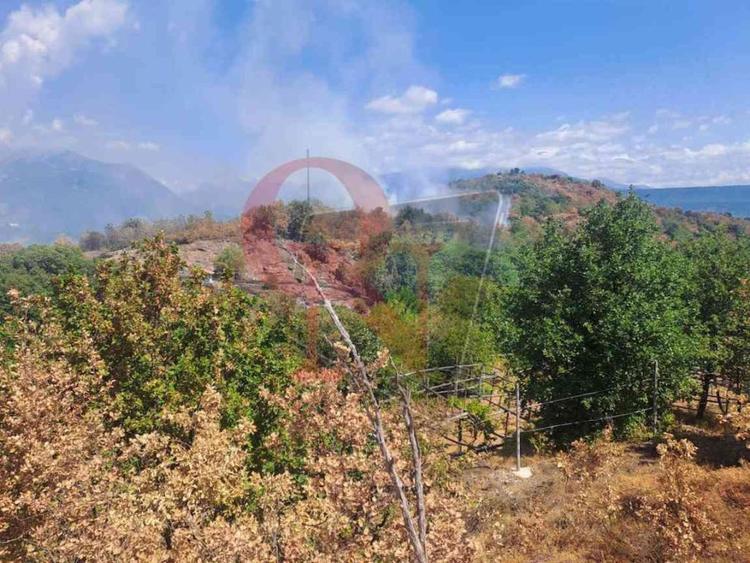 Pavone Canavese incendio boschivo