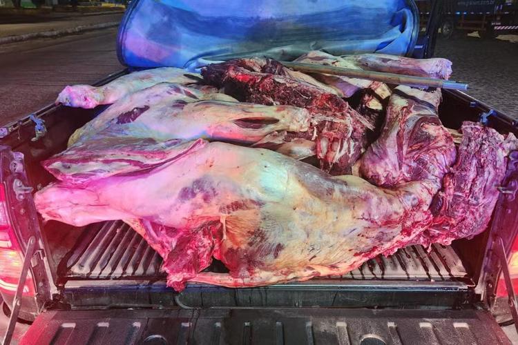 PRF apreende 800 kg de carne bovina transportada sem refrigeração na BR-423, em Garanhuns
