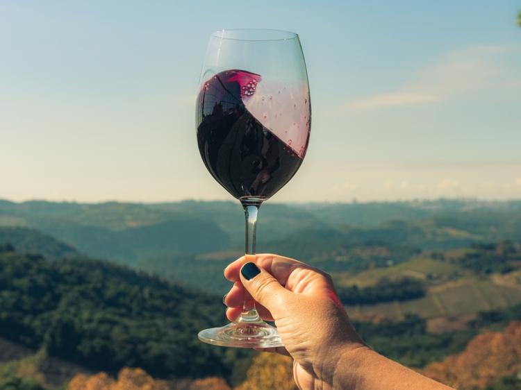 Festival Viva o RS promove experiências, sabores e cultura em Caxias do Sul nesta semana