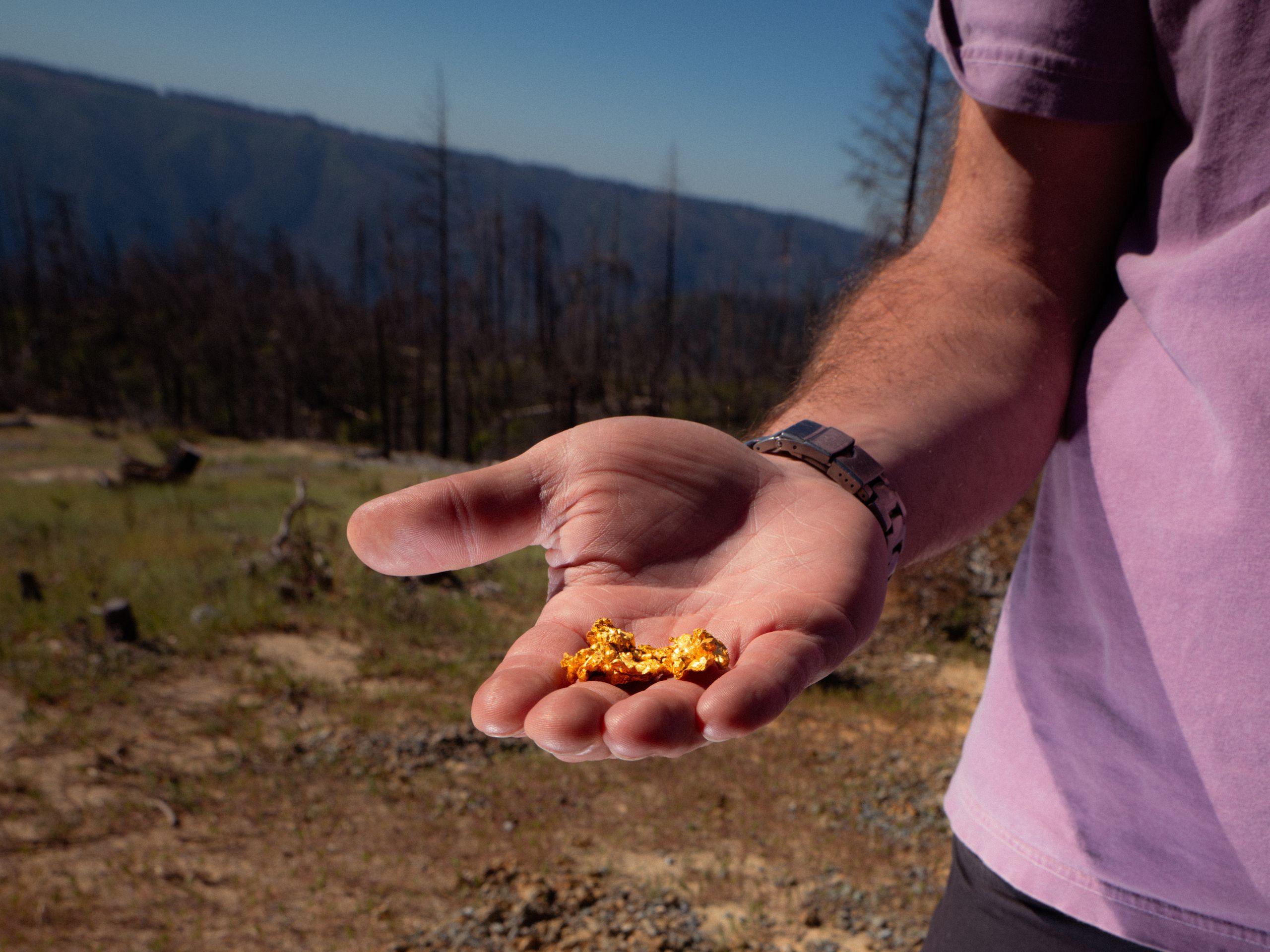How Americans Caught Gold Fever Again