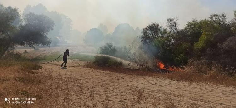 Siponto, incendio nella pineta: evacuato il campeggio Lido Salpi