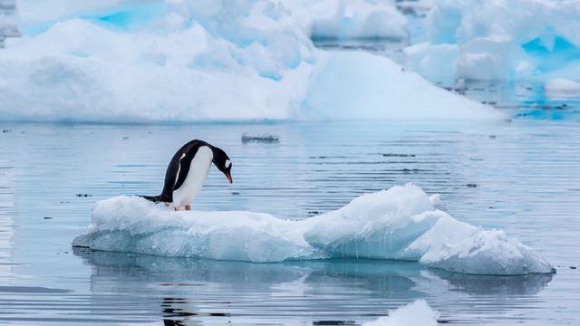 La Antártida registra la temperatura más baja de los últimos cuatro años: -82,9ºC en julio