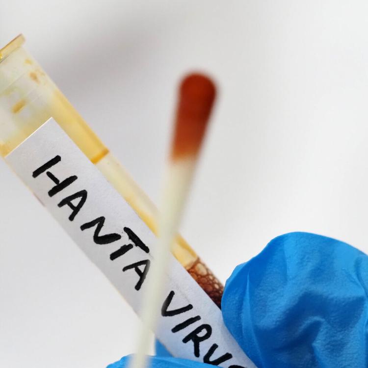Hantavirus: ministro, negativi tutti e 4 i test dei pazienti isolati in Italia
