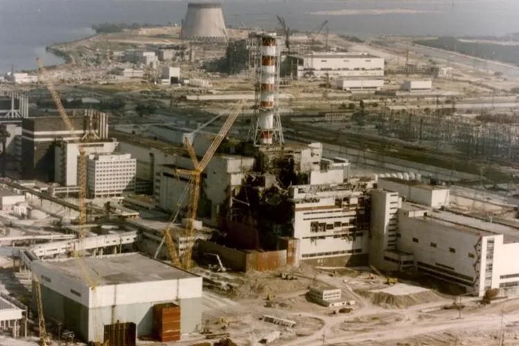 Chernobyl não acabou: após 40 anos, radiação ainda afeta animais e revela fenômenos inesperados
