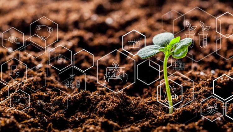 The Seed Sector 2045: Climate Adaptation Becomes Breeding’s New Baseline