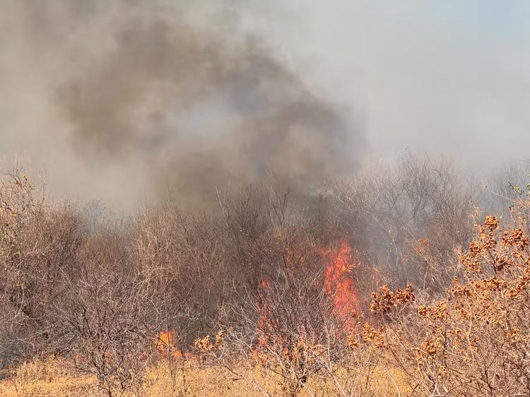 Piauí lidera em número de focos de incêndio com quase 280 registros em 24 horas, conforme o INPE