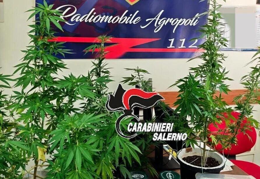 Agropoli, 23enne arrestato con droga e contanti: revocata la misura cautelare
