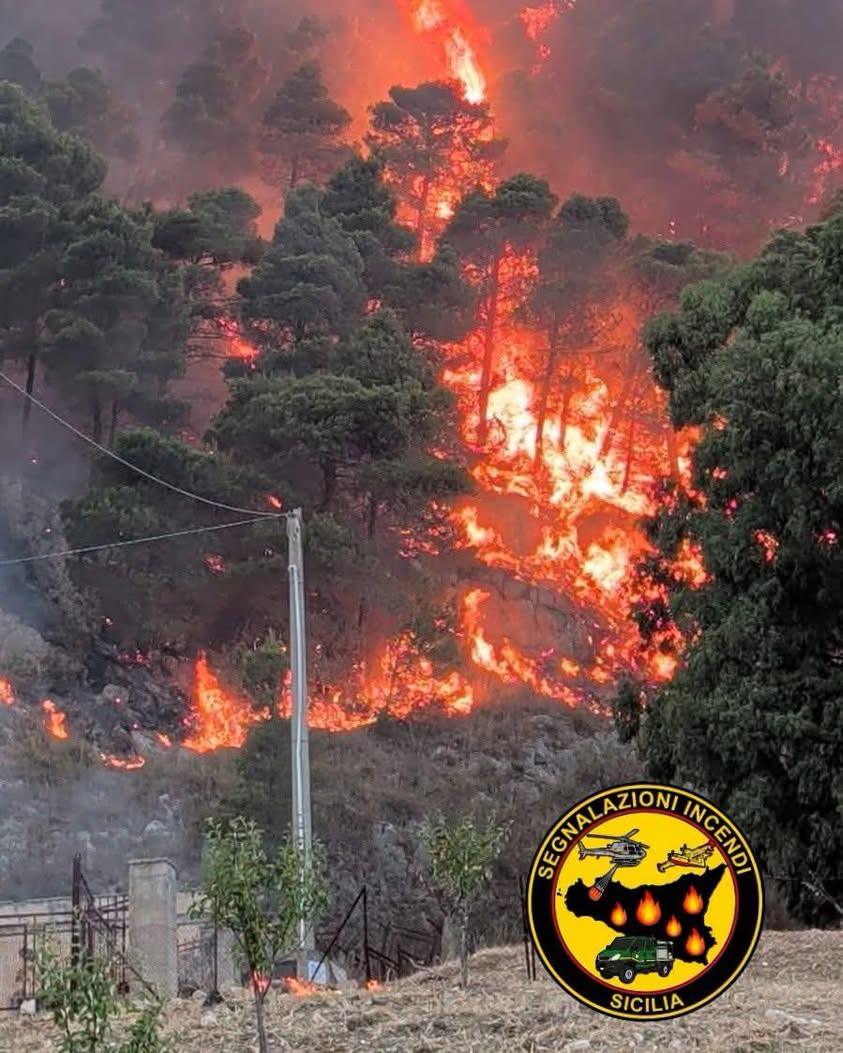 L’Amministrazione Comunale di Roccapalumba esprime la propria piena solidarietà e vicinanza alla comunità di Castronovo...