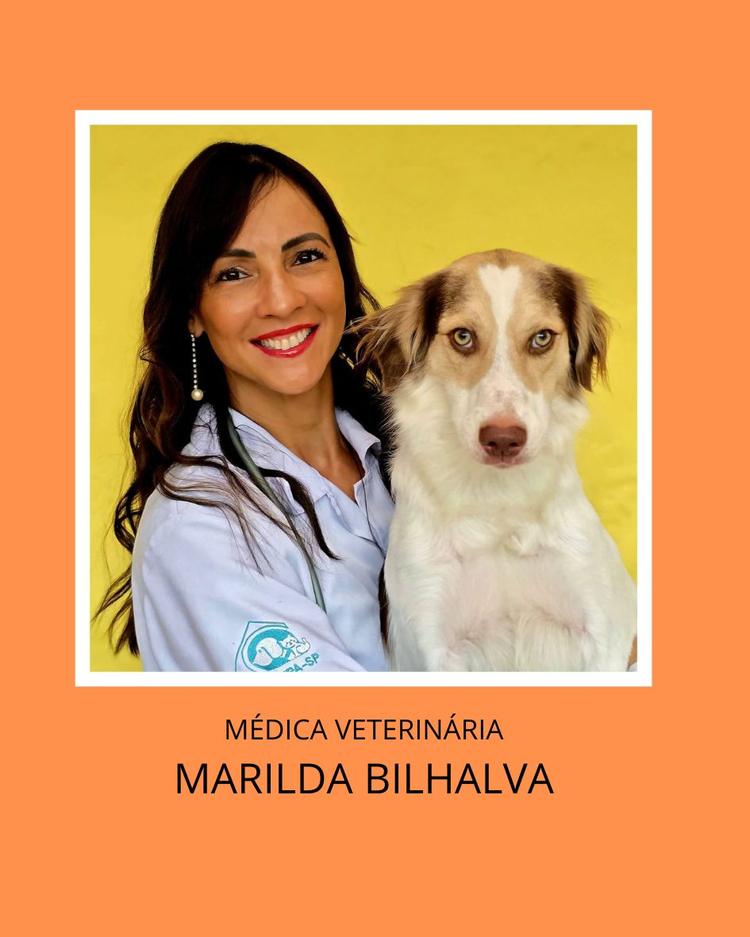BEM ESTAR PET: POSSO MISTURAR DUAS OU MAIS RAÇÕES NA ALIMENTAÇÃO DOS MEUS PETS?