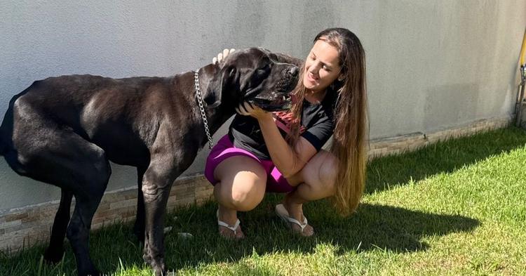 Cachorro desnutrido abandonado em arrozal de Navegantes é adotado após repercussão do caso