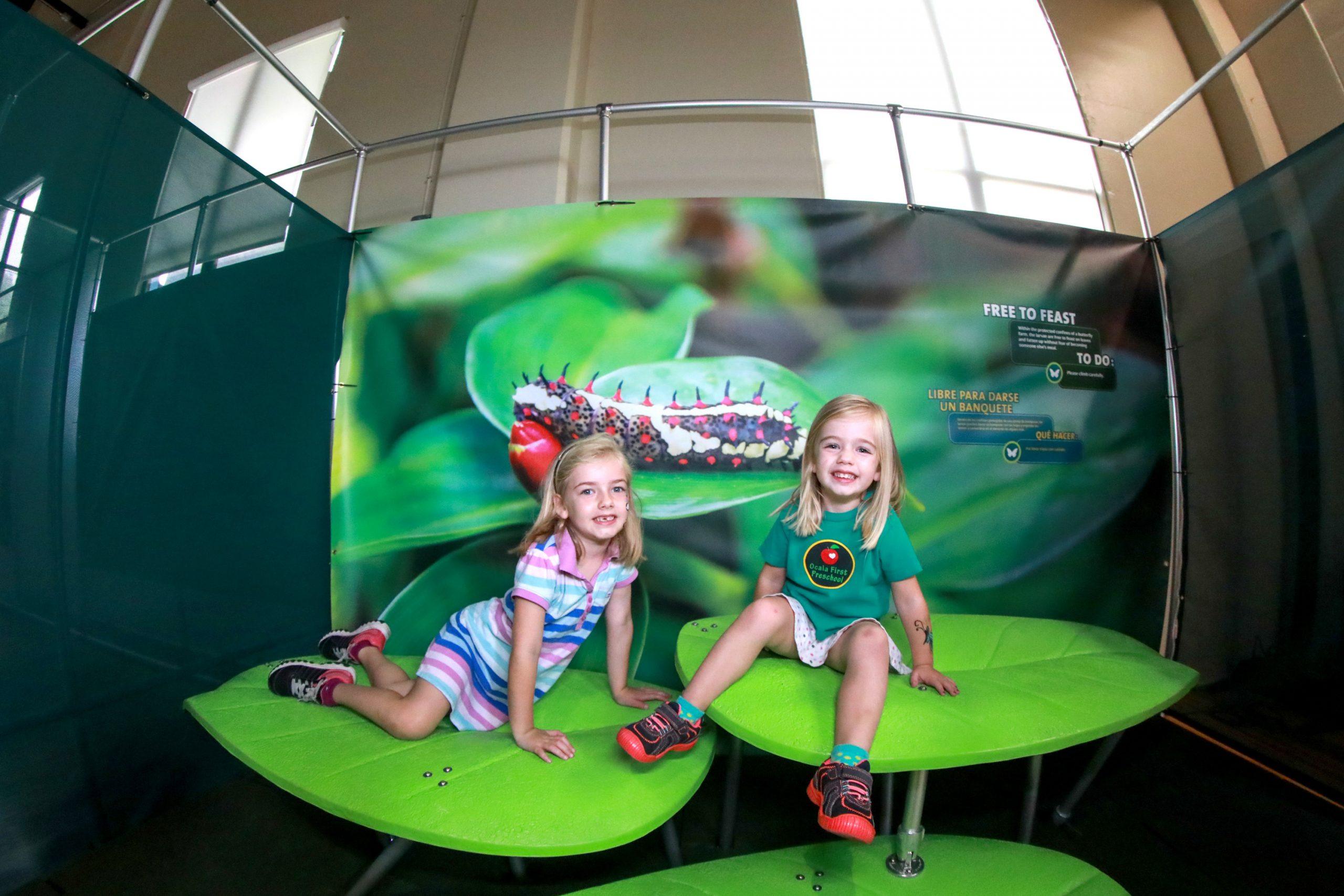 Butterfly Odyssey brings interactive rainforest conservation exhibit to Reading Public Museum